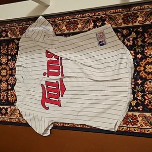 Minnesota twins jersey